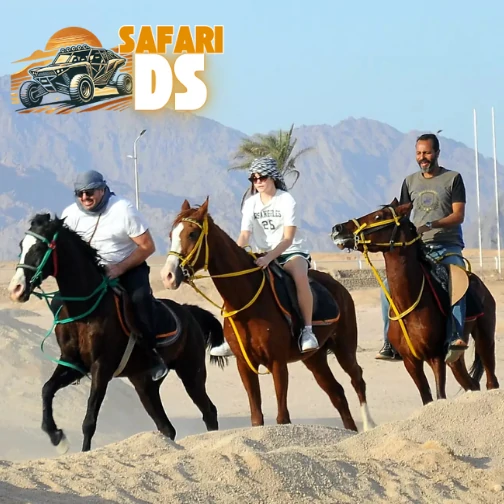 desert horse riding in sharm el sheikh DS safari  