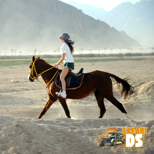 رحلات ركوب الخيل في شرم الشيخ