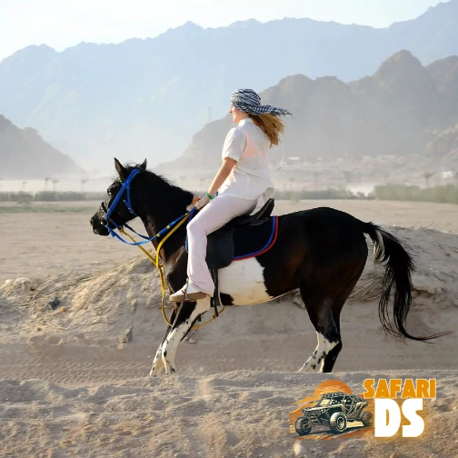 Cavalcata nel deserto di Sharm El Sheikh