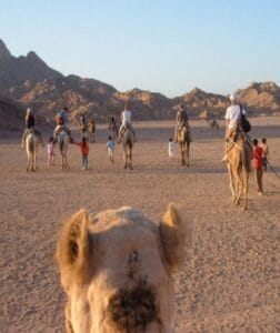 Quad Runner Safari Tours in Sharm El Sheikh