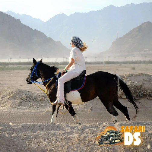رحلات ركوب الخيل في شرم الشيخ