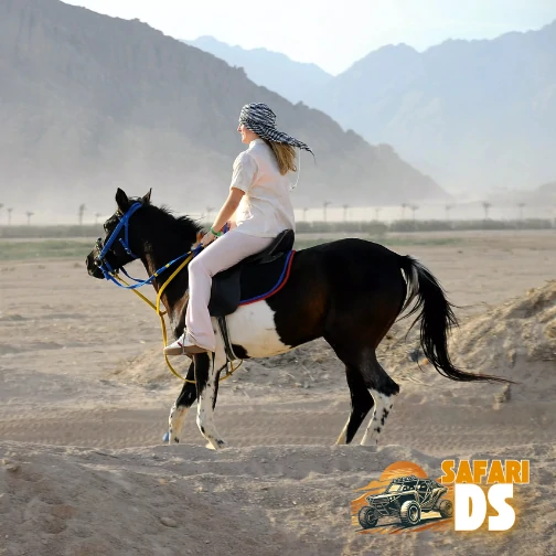 Cavalcata nel deserto di Sharm El Sheikh