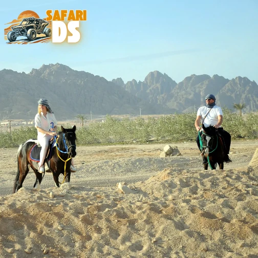 desert horse riding in sharm el sheikh DS safari  
