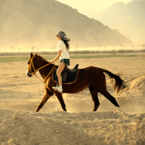 horse ride in Sharm El Sheikh desert