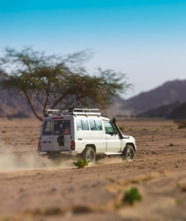 Untitled design (3) Quad Runner Safari Tours in Sharm El Sheikh