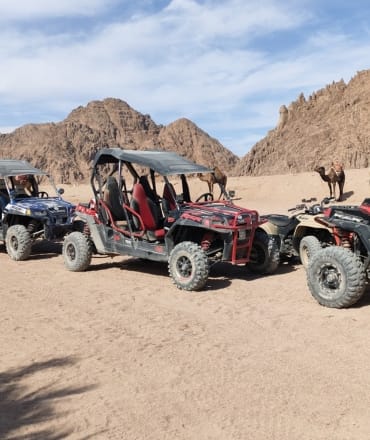 sharm el sheikh dune buggy