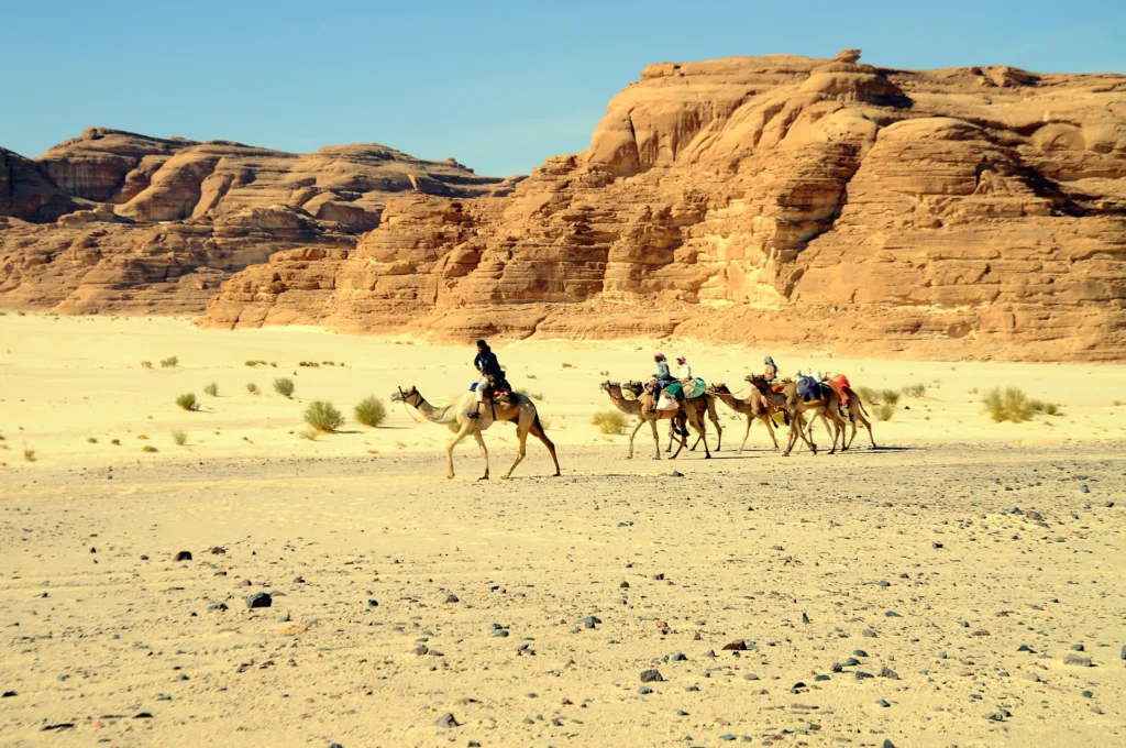 Tour in cammello nel deserto