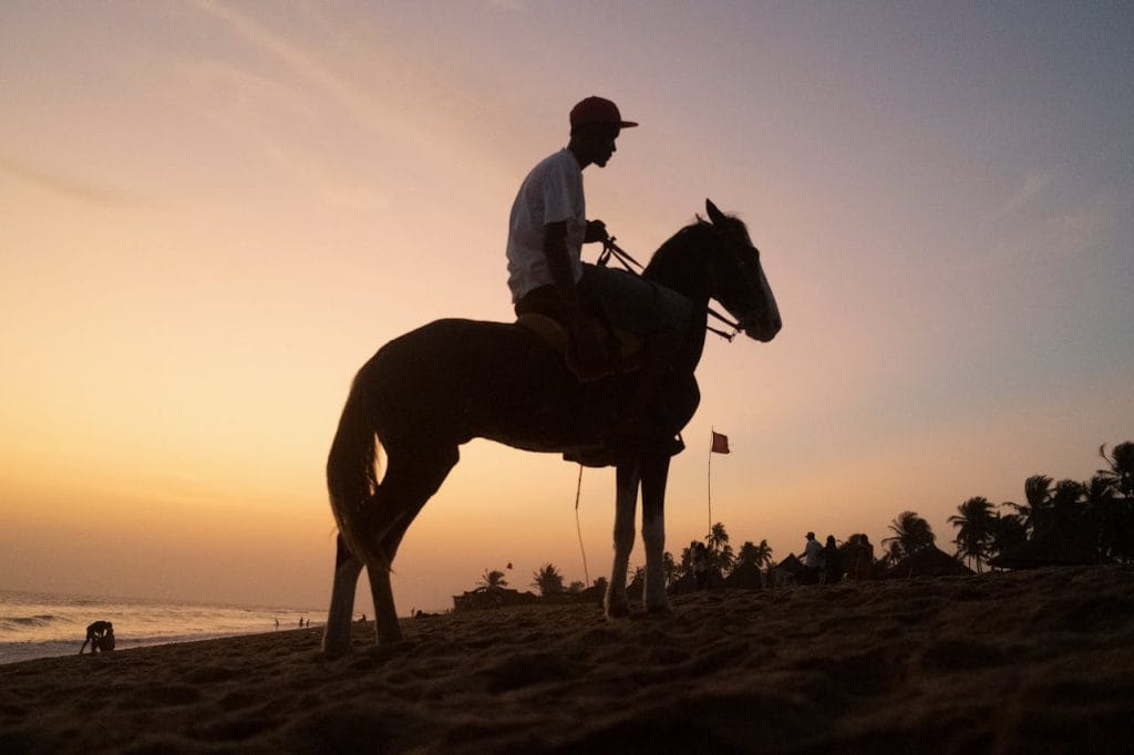 silhouette-of-horse-rider-on-lagos-beach-at-sunset-30074385 sunset at the beach