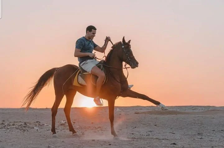 خيل شرم الشيخ