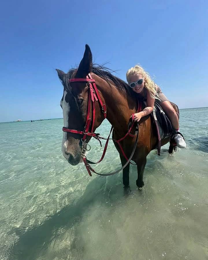 Best Camel and Horse Riding