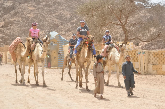 Sharm El Sheikh quad biking tour with camel ride