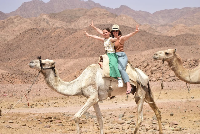 Sharm El Sheikh quad biking tour with camel ride