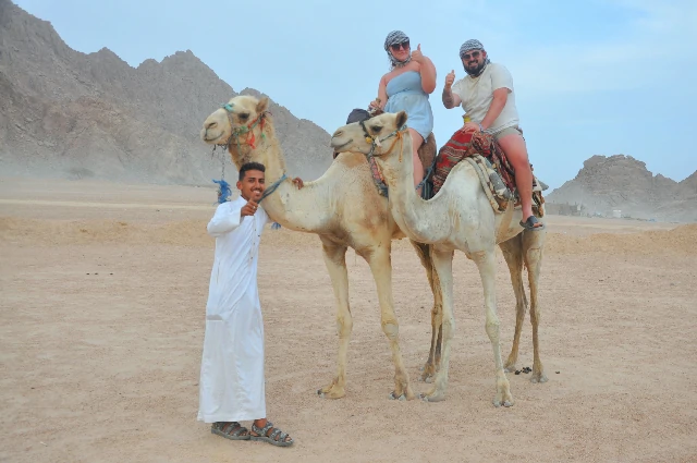 Camel Ride Sharm El Sheikh