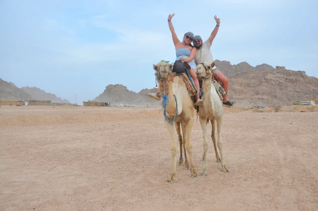 Camel Ride Sharm El Sheikh
