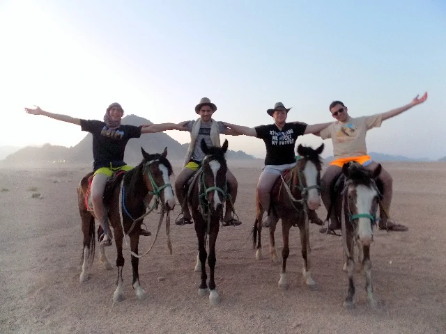desert horse riding Sharm El Sheikh