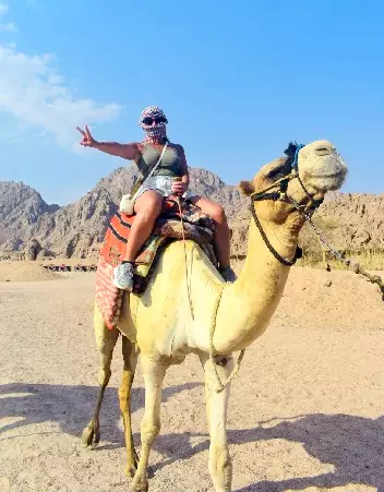 Camel Ride with Bedouin Show & Dinner in Sharm El Sheikh