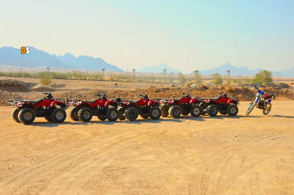 Desert Safari in Sharm El Sheikh: First-Time Visitor’s Complete Guide