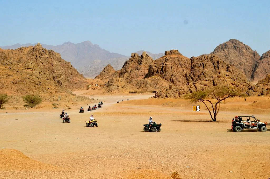 Guided desert tour in Sinai – tourists exploring the desert near Sharm El Sheikh